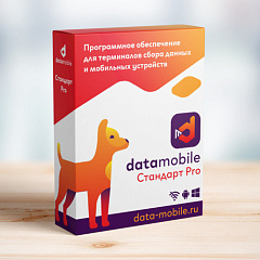 ПО DataMobile, версия Стандарт Pro в Туле